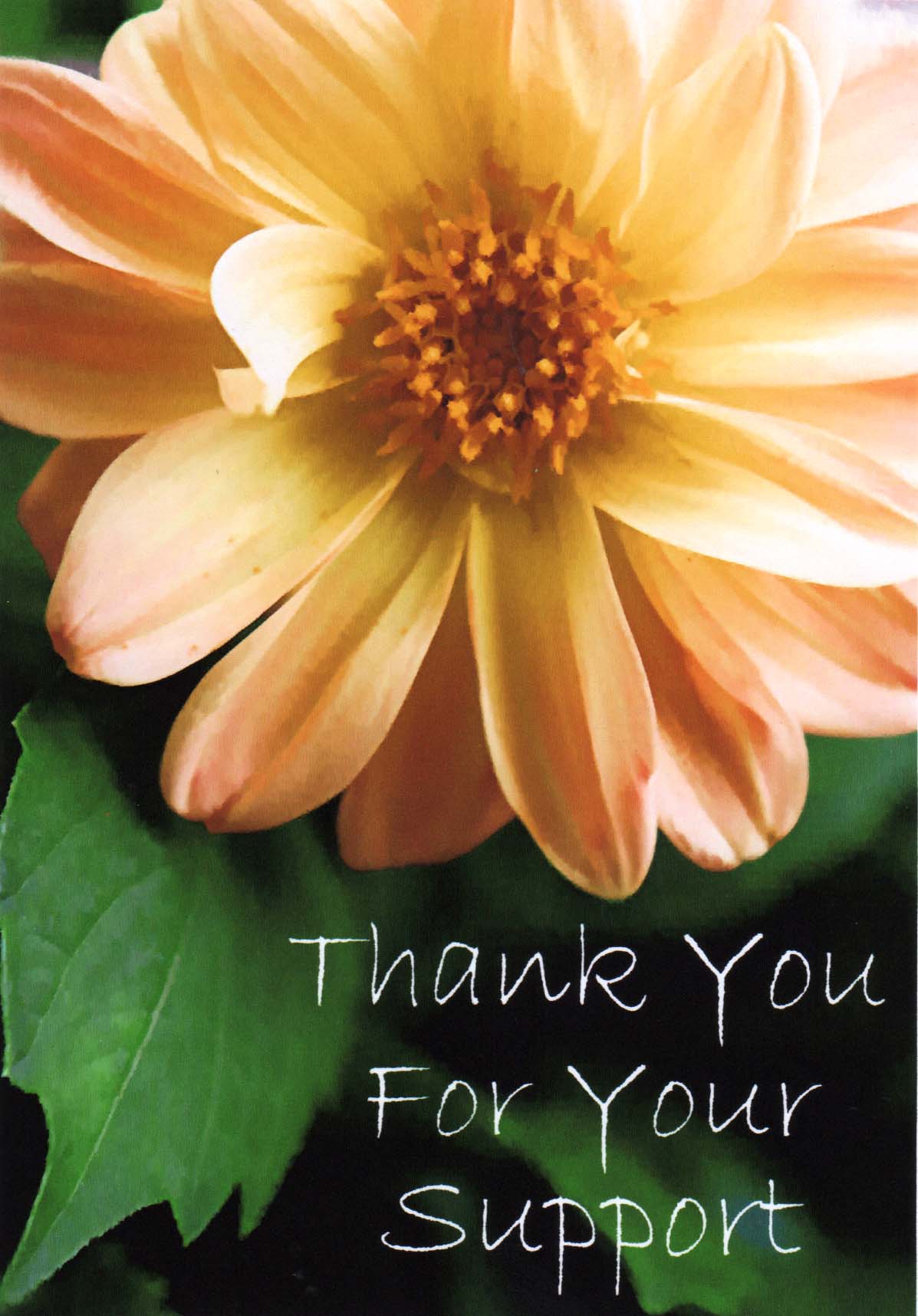 Thanks For Your Support Greeting Card Paper Paper Party Supplies